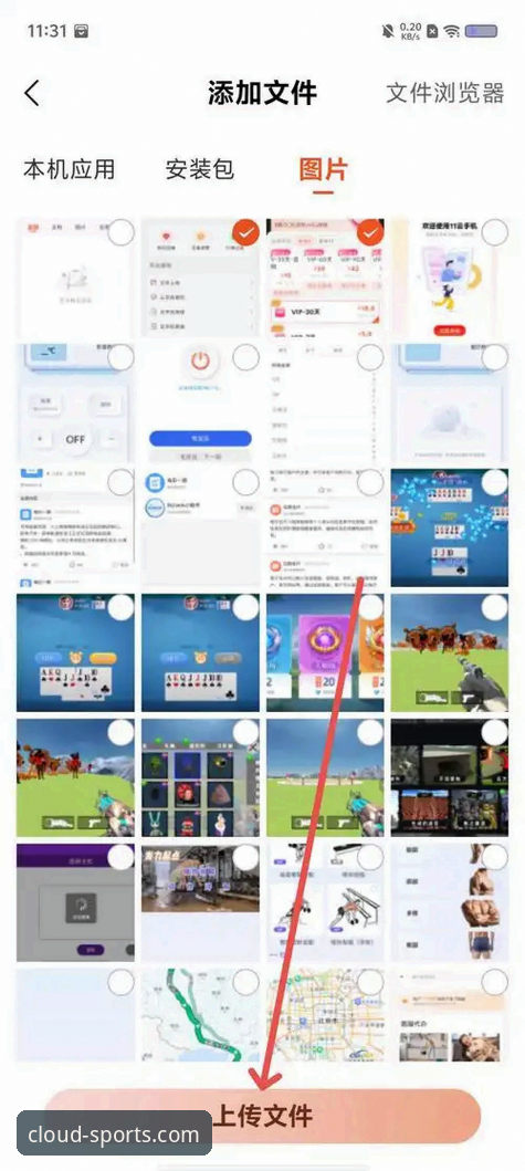 资深用户分享：如何安全高效完成云体育官方正版下载与使用全攻略