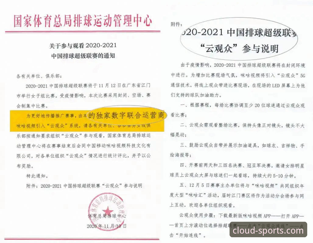 云体育版本号查询完整指南：从入门到精通的实用手册
